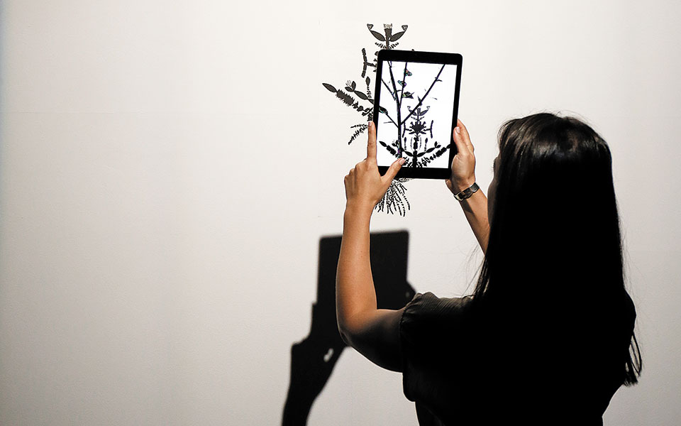 φυτά-στη-θέση-σκληρών-δίσκων-561071866