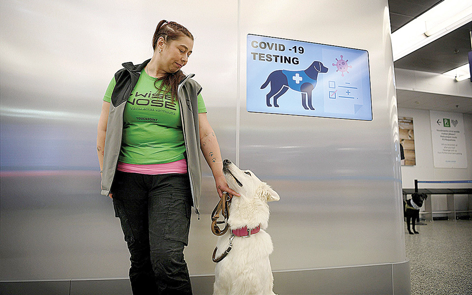 οι-σκύλοι-που-μυρίζουν-τον-κορωνοϊό-561088927