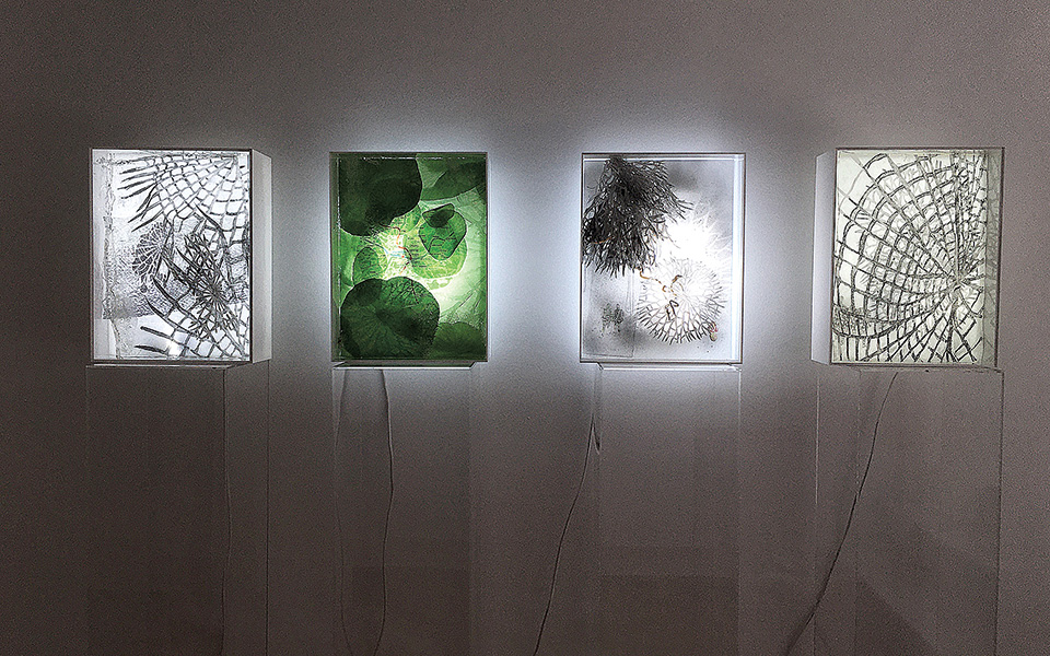 για-τις-παγίδες-της-ενδογλωσσικής-μετ-561094564