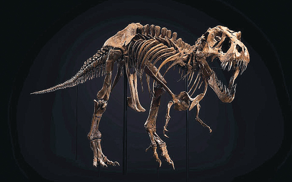 ενας-t-rex-βγαίνει-στο-σφυρί-561089566