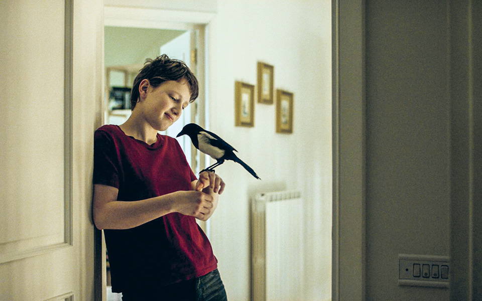 από-τη-θεσσαλονίκη-στο-μεξικό-την-ιταλ-561090946