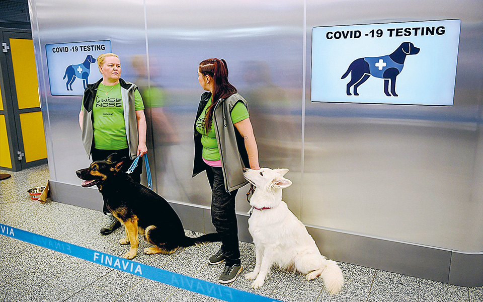 τώρα-αρχίζει-στα-σοβαρά-η-πανδημία-561094282