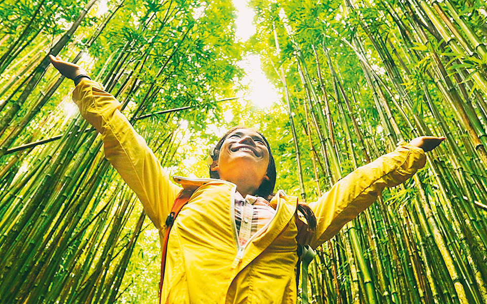 φθηνά-δάνεια-για-πράσινες-επιχειρήσε-561094789