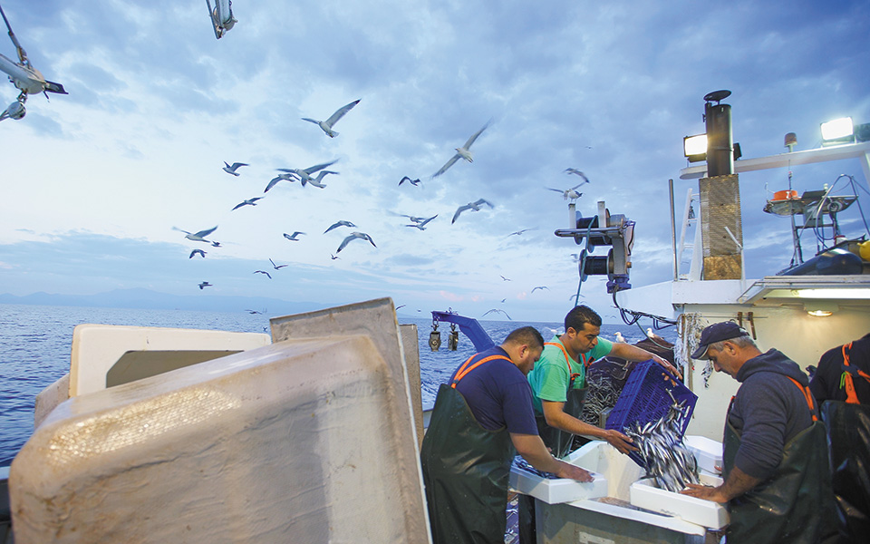 σιγή-ιχθύος-στις-οθόνες-561098398