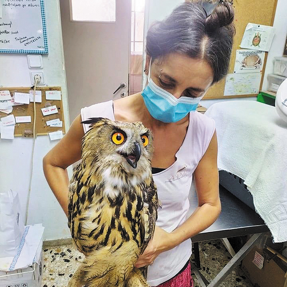 Οι μαθητές του Κωστέα-Γείτονα επιδεικνύουν οικολογική συνείδηση στην πράξη-1