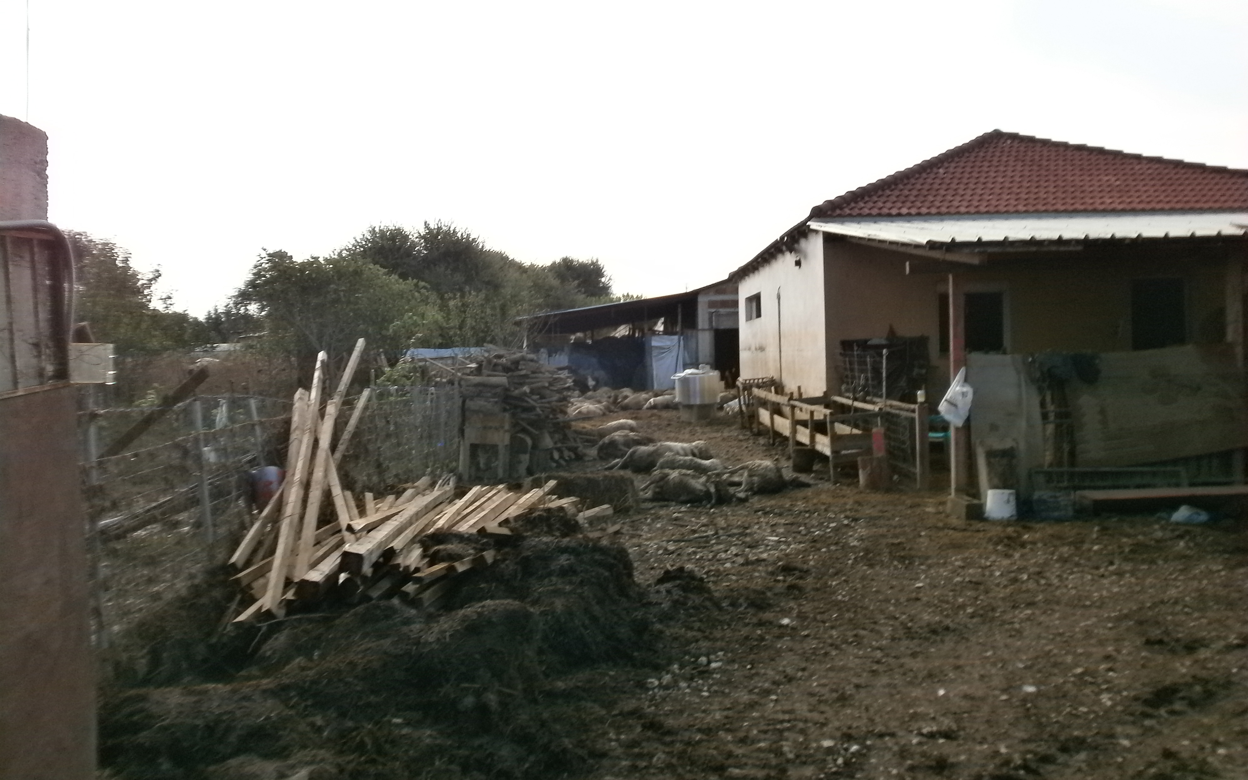 Η Καρδίτσα μετράει ακόμα τις πληγές της-3