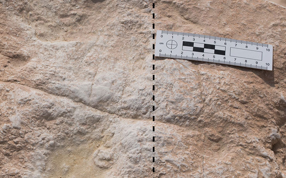 οι-αρχαιότερες-στην-αραβική-χερσόνησ-561082993