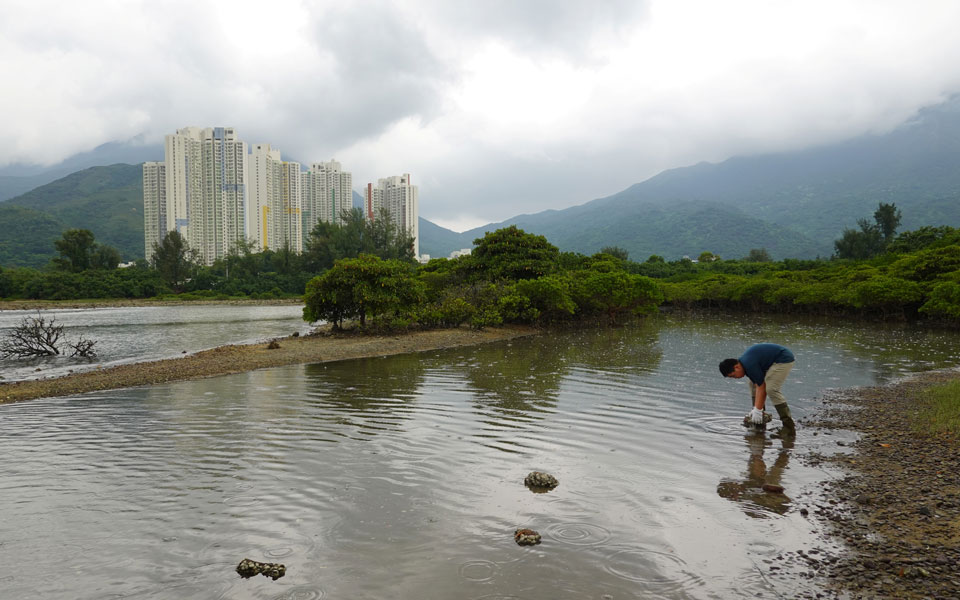 χονγκ-κονγκ-11χρονος-ακτιβιστής-πρωταγ-561093157