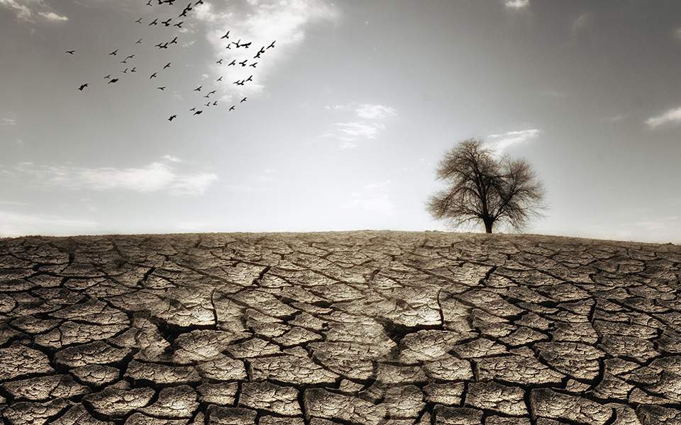 οηε-και-βρετανία-θα-συνδιοργανώσουν-τ-561090751