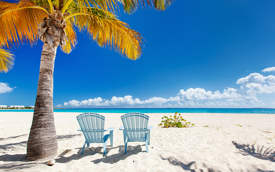 η-περίπτωση-της-ανγκουίλα-561069199