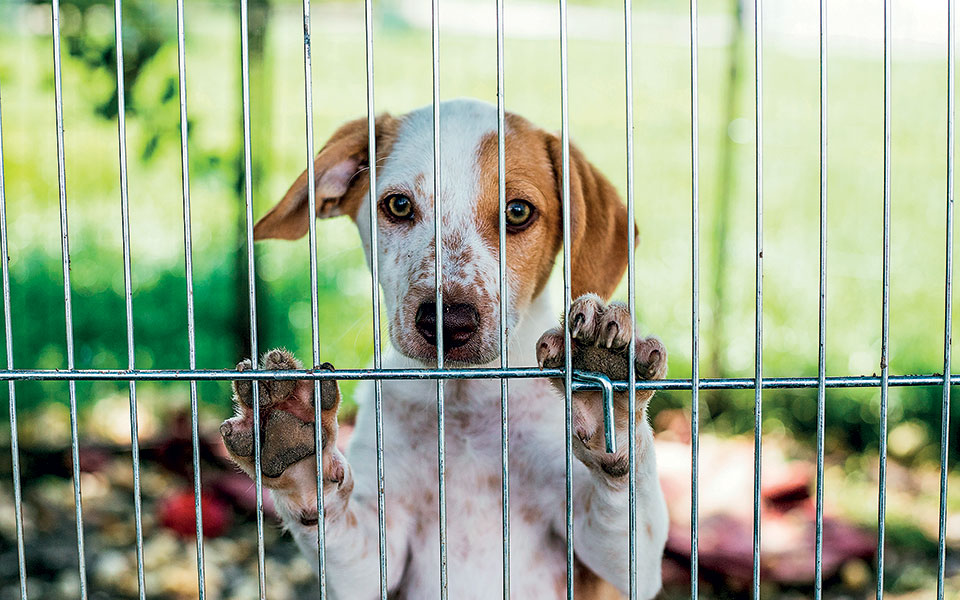 οι-δήμοι-που-νοιάζονται-561080998