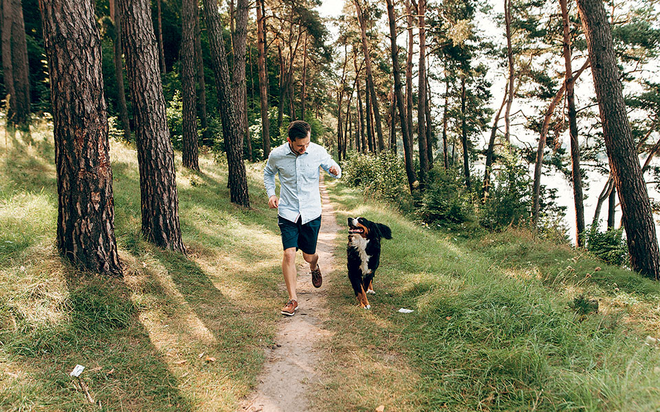 τι-νομίζουμε-ότι-σκέφτονται-οι-σκύλοι-561089905