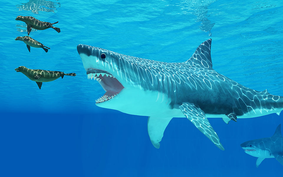 αποκαλύφθηκε-το-πραγματικό-μέγεθος-τ-561065173