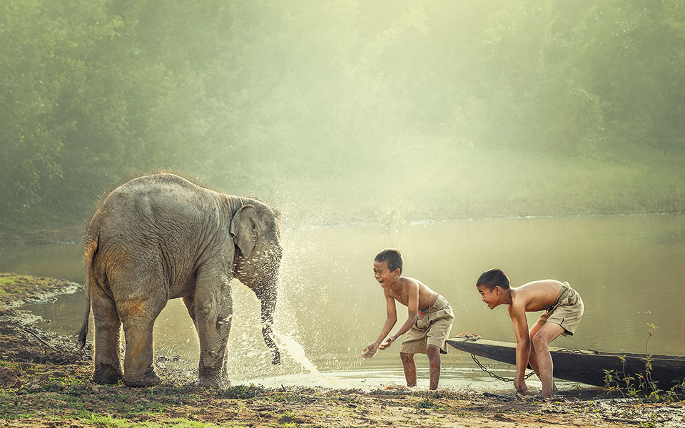 ξεχνάμε-ότι-και-εμείς-είμαστε-ζώα-561084280