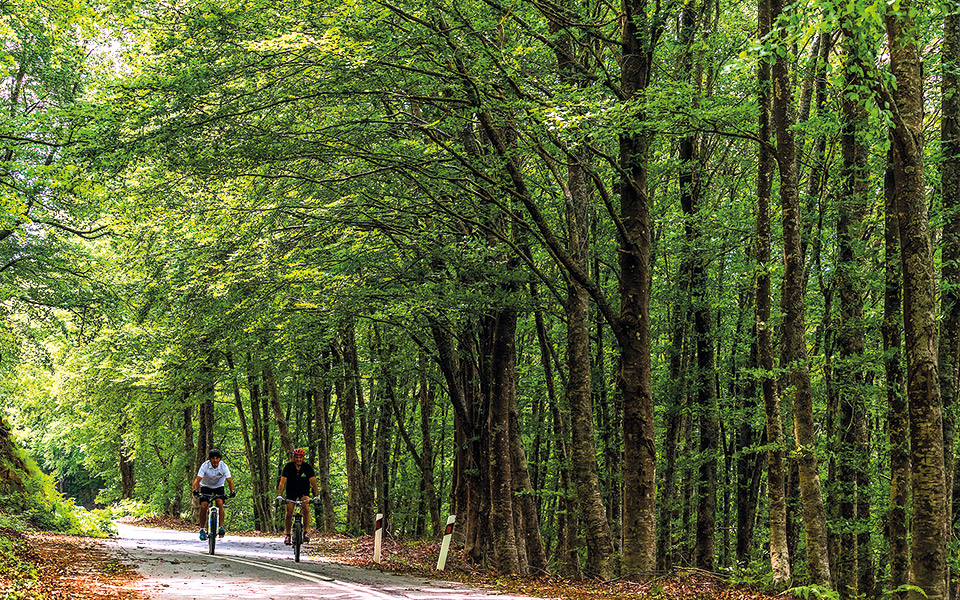 χαλκιδική-για-όλους-561127849