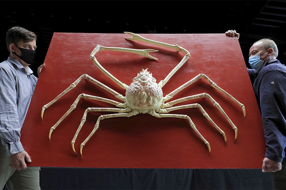 εργα-της-φύσης-561133981