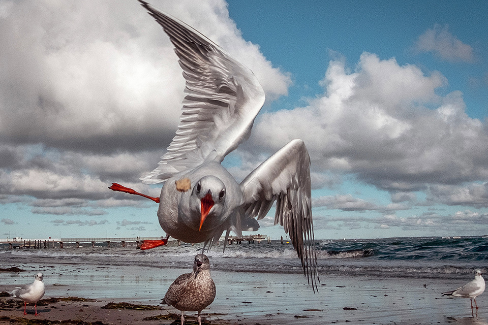 εφόρμηση-561129856