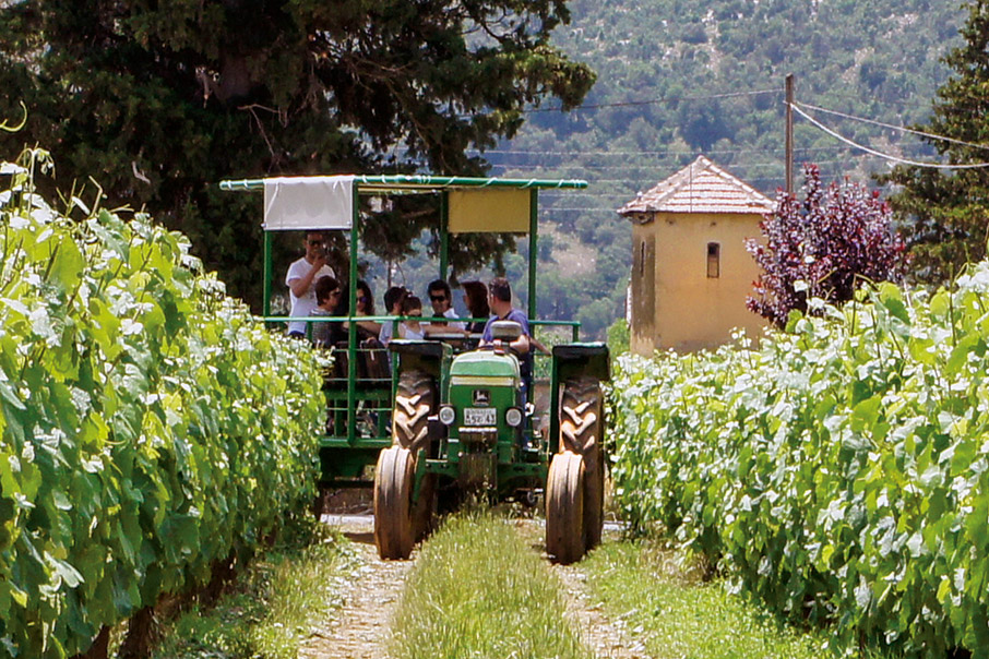 Μαθήματα οινογνωσίας-3