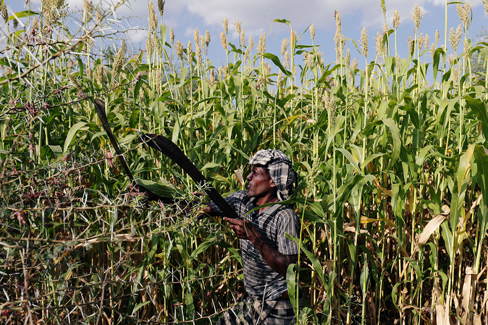 Με τις ματσέτες