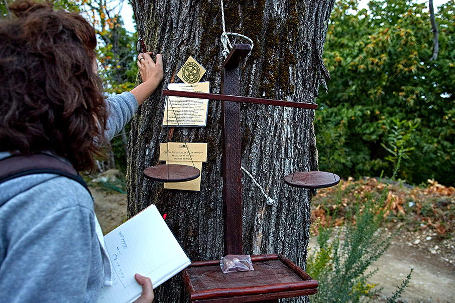 Φθινόπωρο στο Πήλιο-4