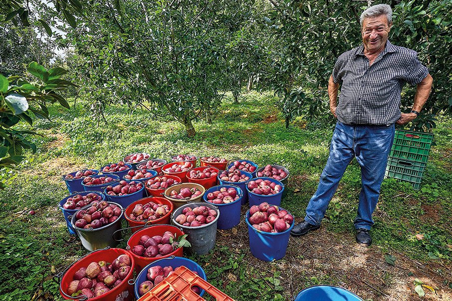 Φθινόπωρο στο Πήλιο-6