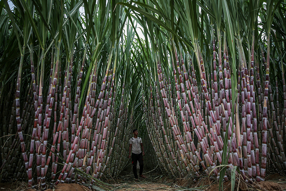 Γλυκά σύνορα