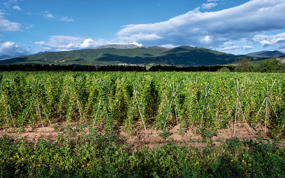 Πού πάει μια λίμνη όταν «φεύγει»;-2