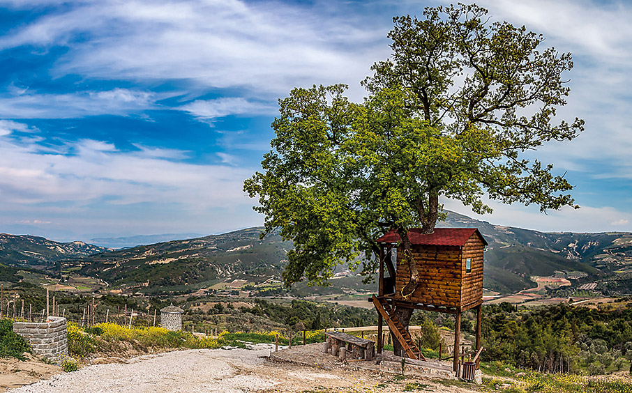 Κρασί από την πηγή-6