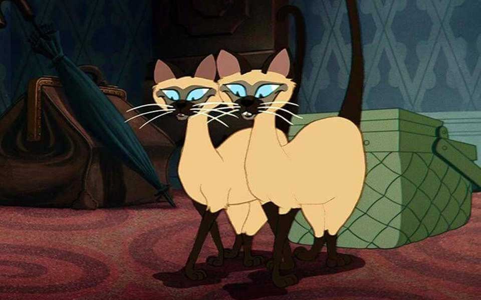 προειδοποιητικά-σημειώματα-για-ρατσ-561119650