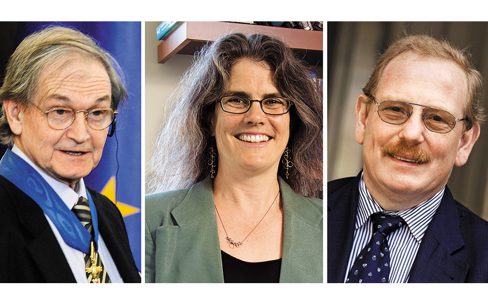 στο-ερευνητικό-έργο-για-τις-μαύρες-τρύ-561107083