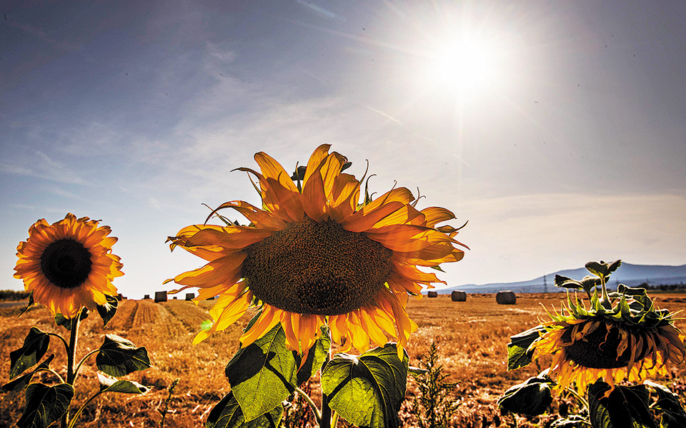 ο-θερμότερος-σεπτέμβριος-561108370
