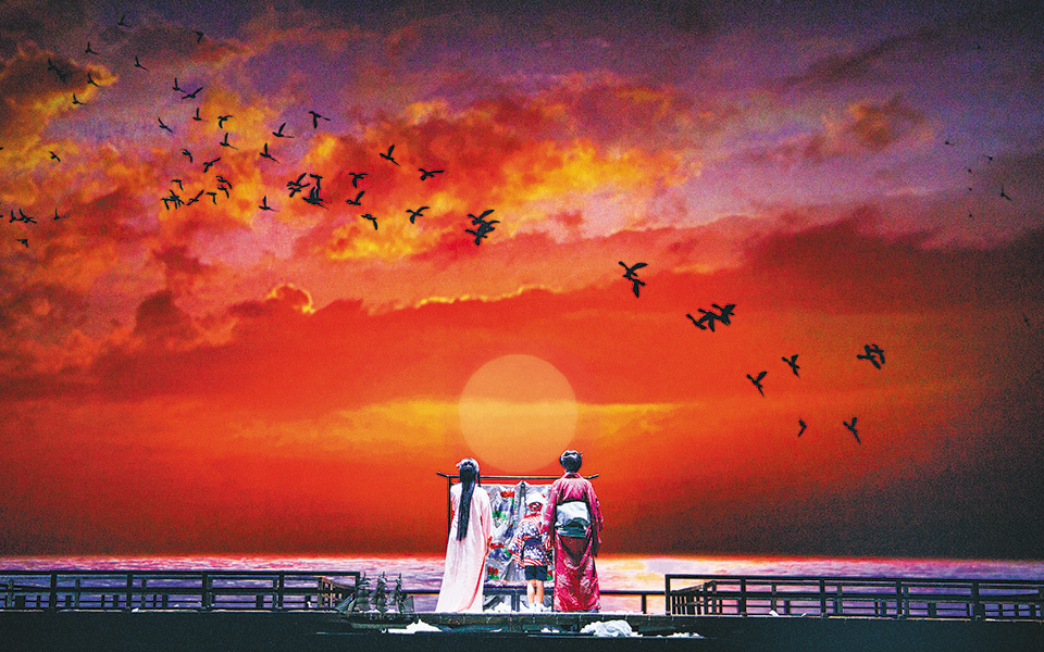 μια-πεταλούδα-αισιοδοξίας-561117451