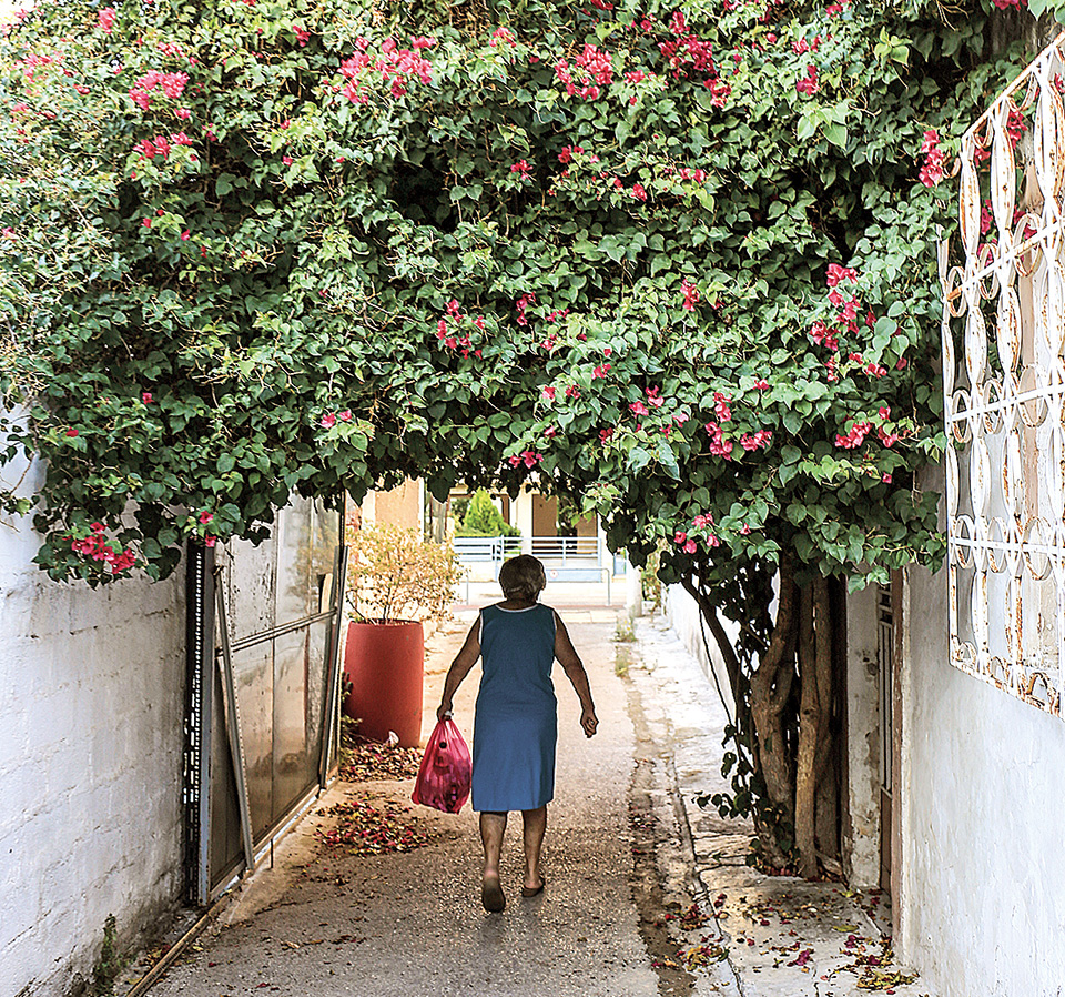 Οι Τζιτζιφιές στον φακό της «Κ»-2