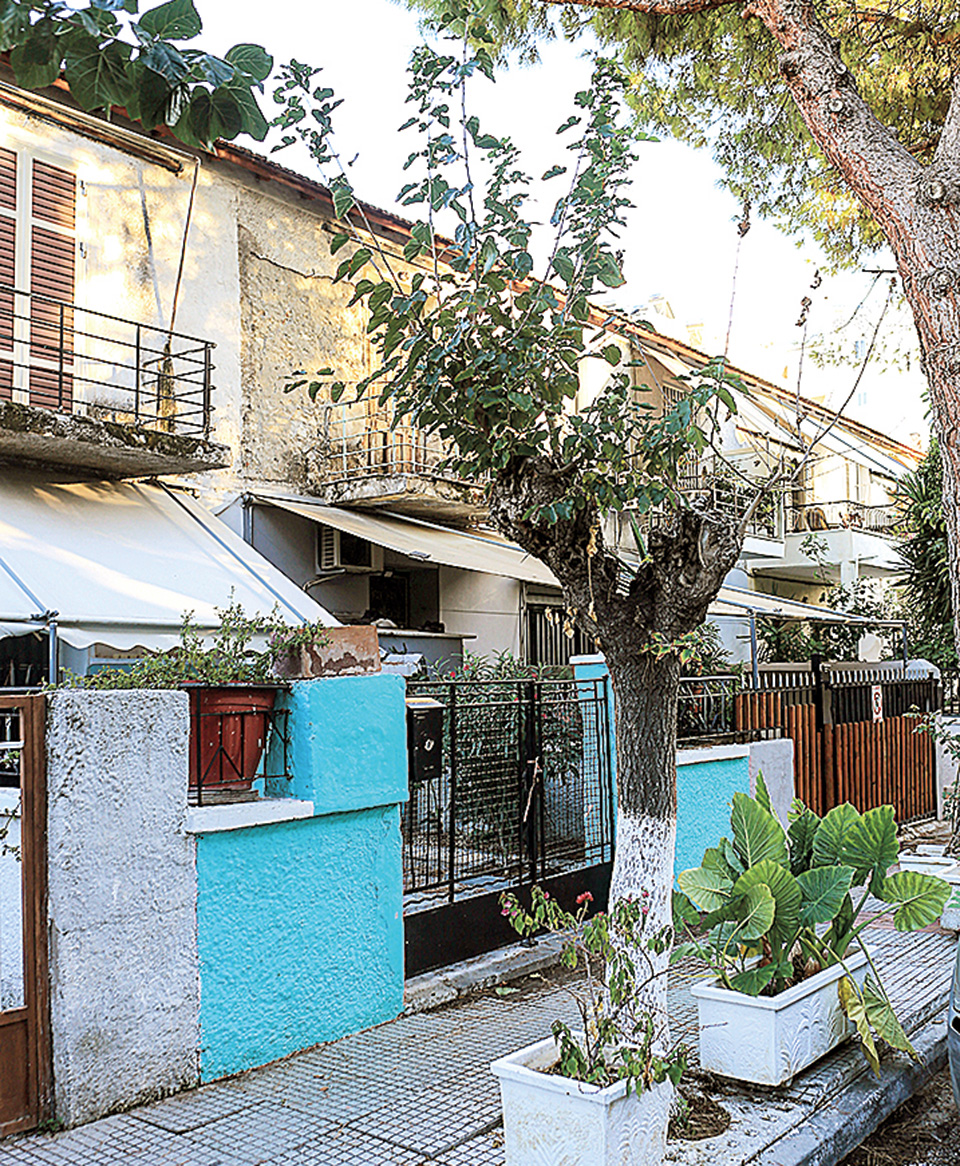 Οι Τζιτζιφιές στον φακό της «Κ»-3