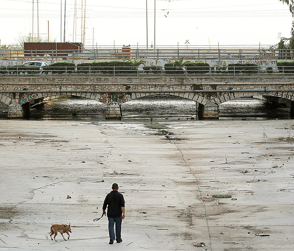 Οι Τζιτζιφιές στον φακό της «Κ»-4