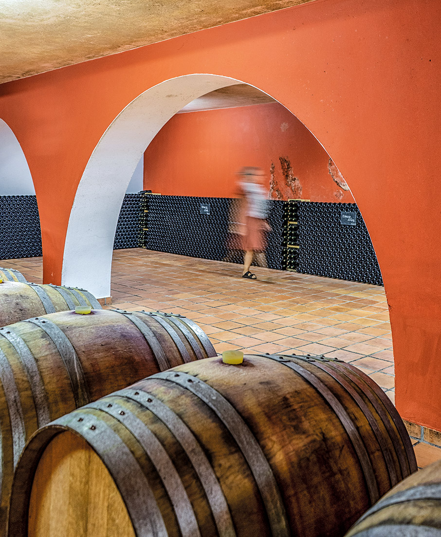 Μαθήματα οινογνωσίας-1