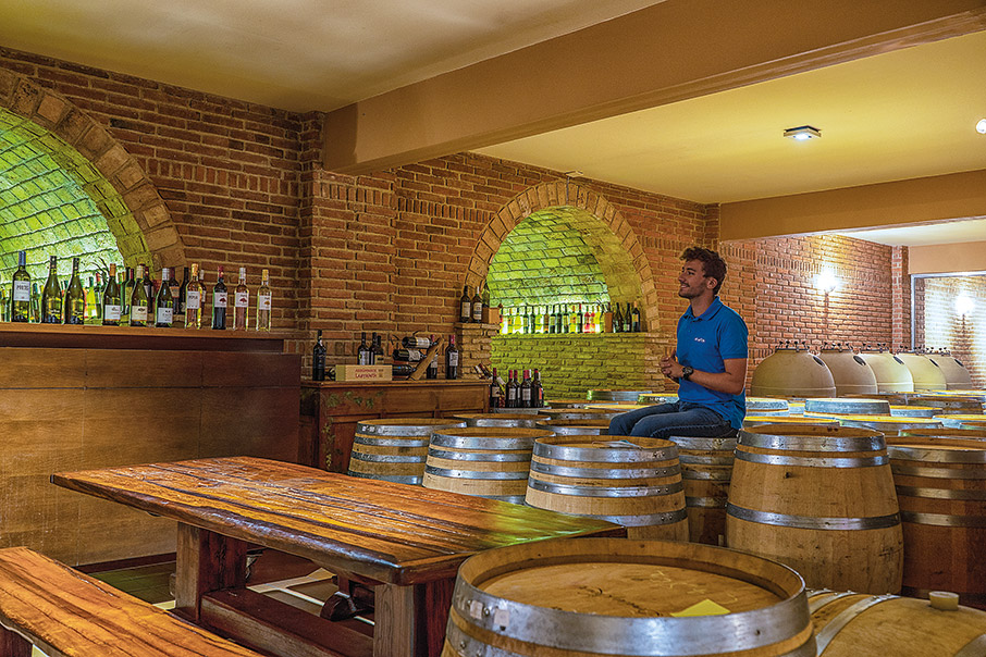 Μαθήματα οινογνωσίας-4