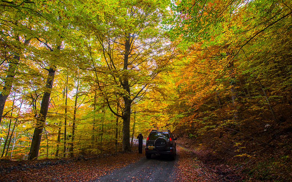 ψάχνοντας-για-βωλίτες-561114994
