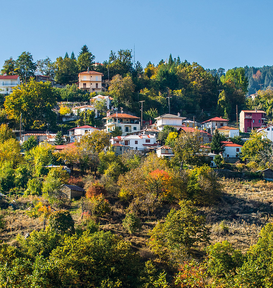 Οι «δικοί μας» μανιταρότοποι-5