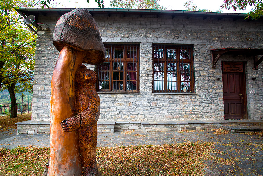 Οι «δικοί μας» μανιταρότοποι-7