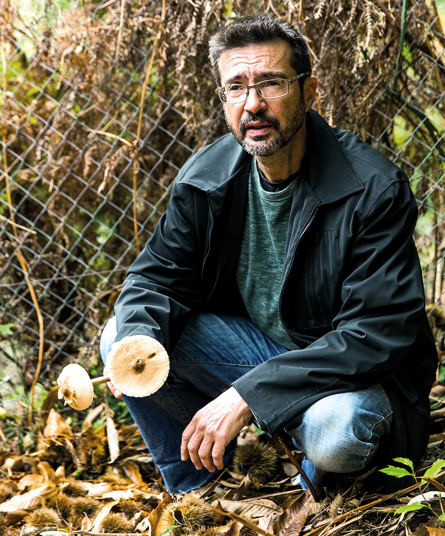 Οι «δικοί μας» μανιταρότοποι-3