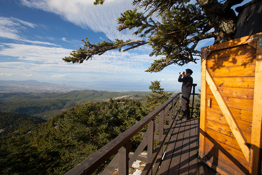 Στις εξοχές της Πάρνηθας και του Χορτιάτη-3