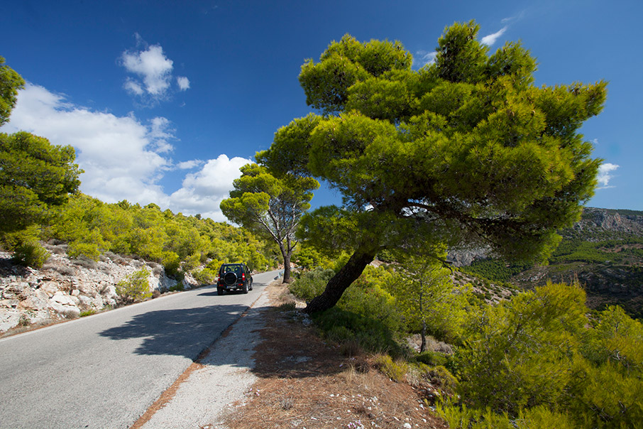 Στις εξοχές της Πάρνηθας και του Χορτιάτη-2