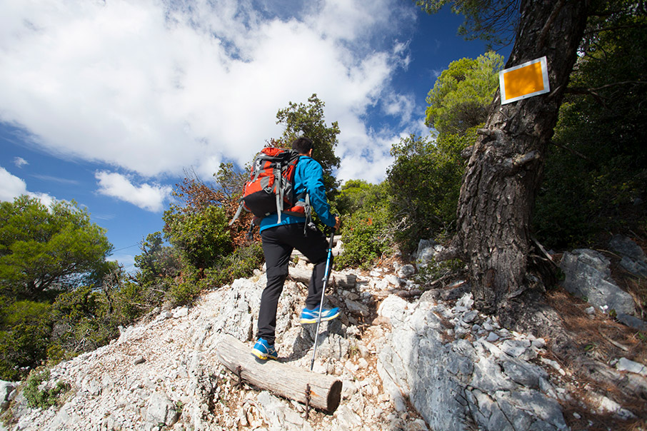 Στις εξοχές της Πάρνηθας και του Χορτιάτη-1
