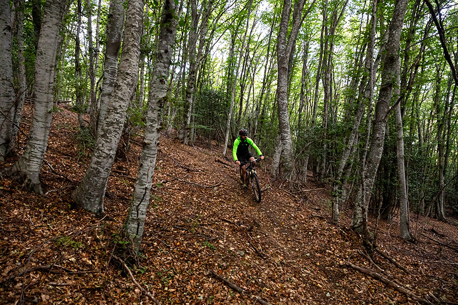 Στις εξοχές της Πάρνηθας και του Χορτιάτη-7
