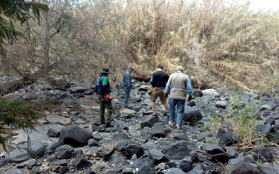 μεξικό-τουλάχιστον-59-σοροί-εντοπίστηκ-561135064