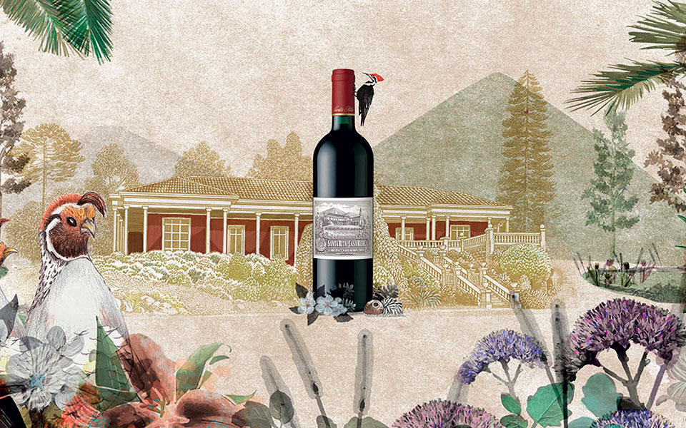 στη-σκιά-της-κορδιλιέρας-561133291