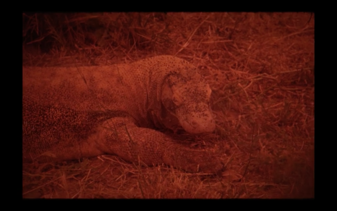 Ζακλίν Λέντζου: «Η επιτήδευση μου είναι άγνωστη λέξη»-1