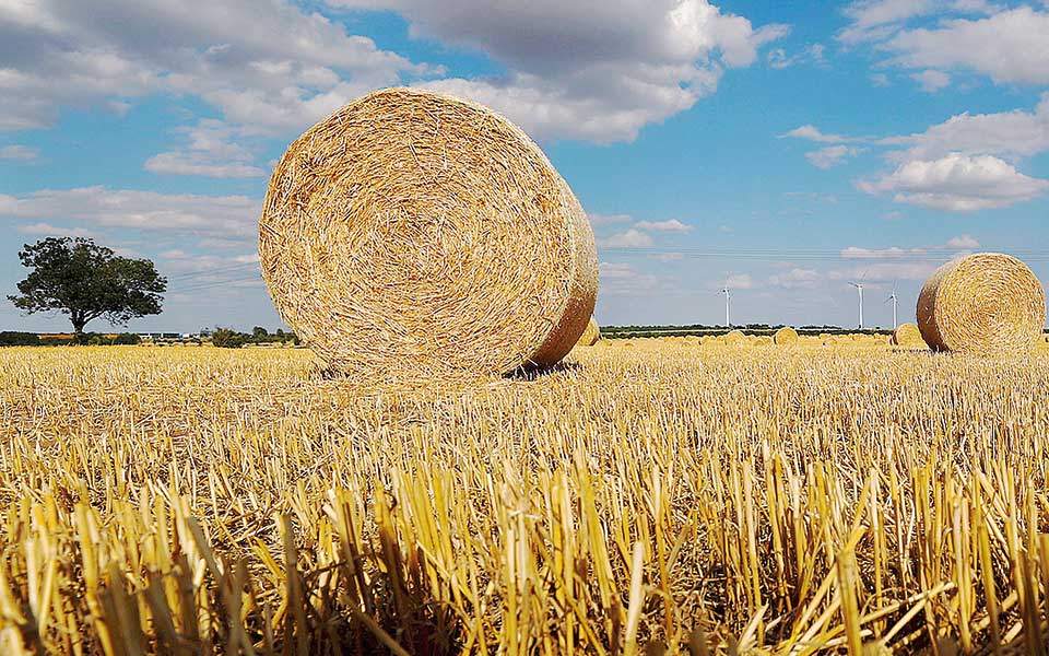 η-πρώτη-χώρα-στον-κόσμο-που-ενέκρινε-γε-561110863