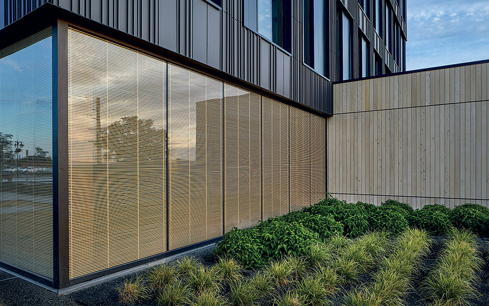 το-ξύλο-βγήκε-από-τον-παράδεισο-561131965